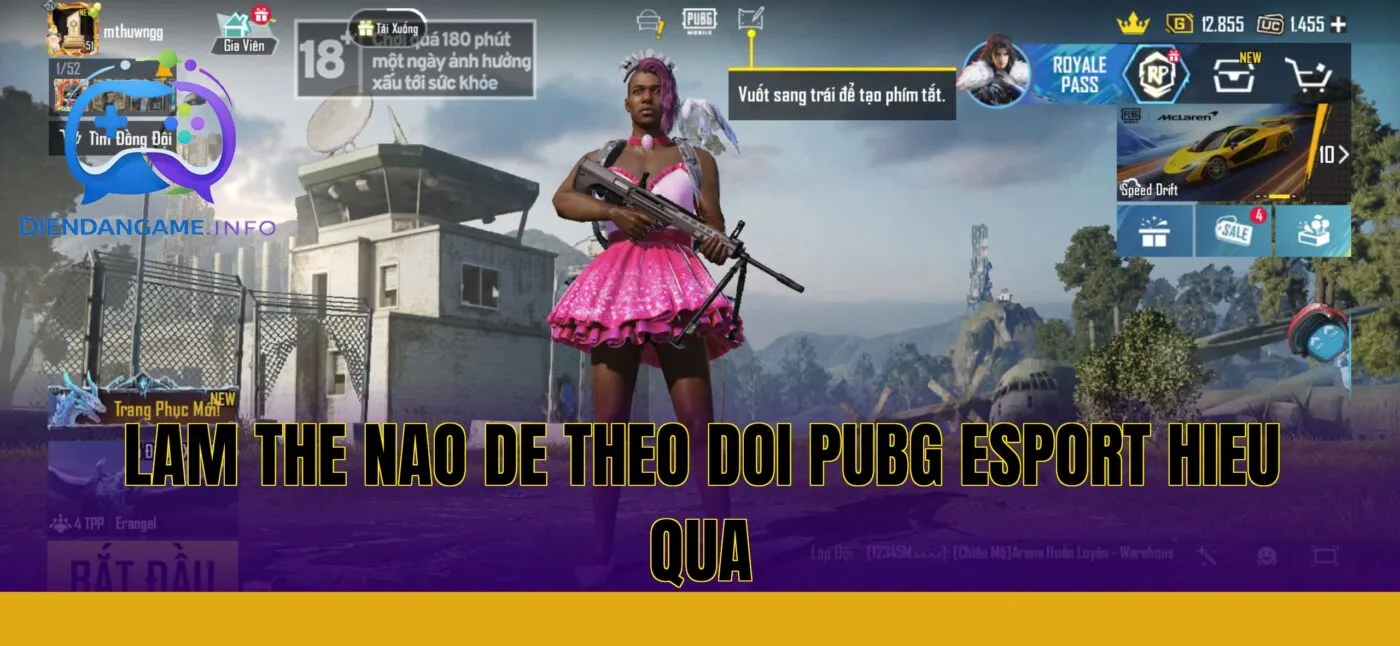 lam the nao de theo doi pubg esport hieu qua